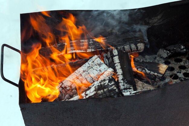 Cocinar comida tradicional de Asia Oriental en el fuego de la llama, quemar leños en el fuego de la barbacoa mientras se cocina mientras se relaja al aire libre