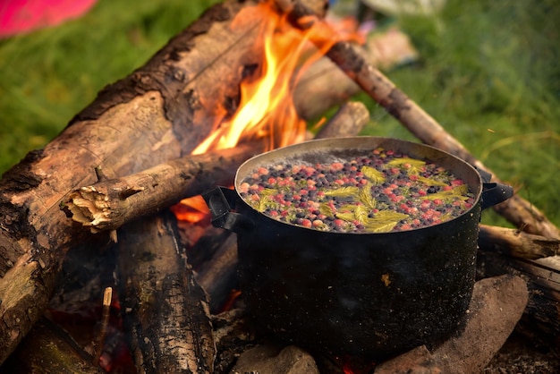 Cocinar compota de frutas con bayas al fuego en el bosque