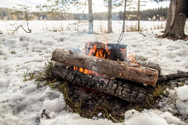 Cocinar en invierno caminata en caldero colgando sobre el fuego en un bosque de pinos cubiertos de nieve mientras acampa