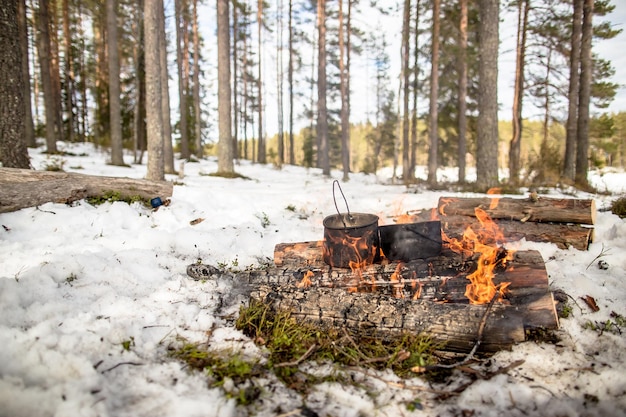 Cocinar en invierno caminata en caldero colgando sobre el fuego en un bosque de pinos cubiertos de nieve mientras acampa