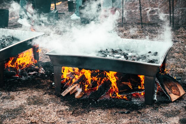 Cocinar mejillones en una gran hoguera