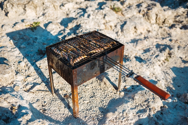 Cocinar pescado pequeño a la parrilla en la playa