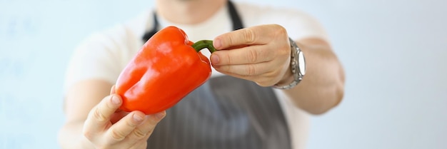 El cocinero tiene pimienta roja en las manos.