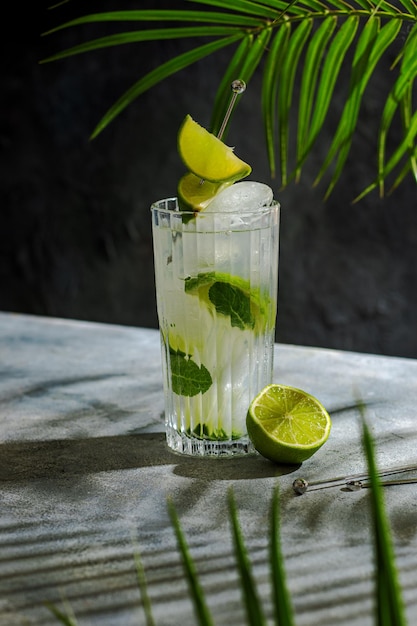 Cocktail frio de mojito com cubos de gelo rum limão e hortelã folha de palmeira tropical sombra folha de palmeira verde