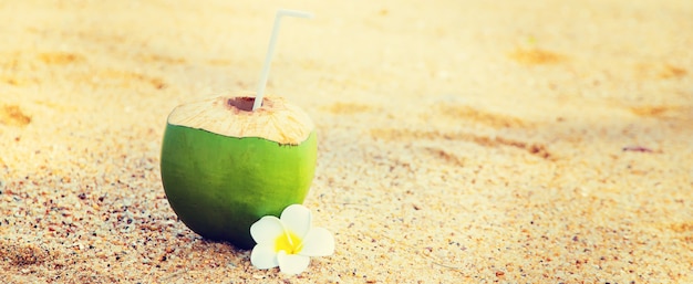 Coco en un cóctel de playa