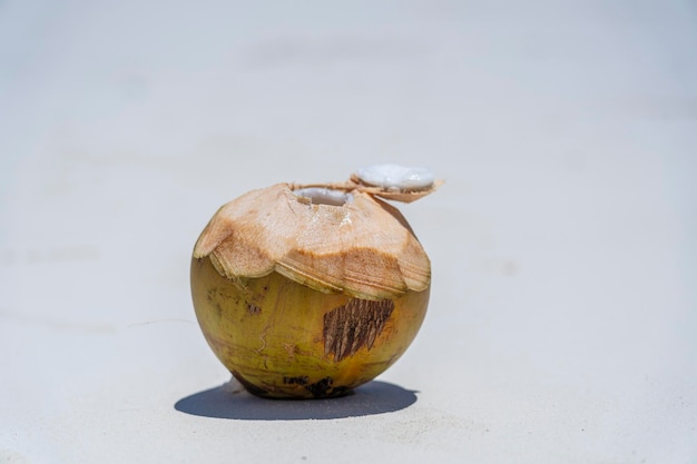 Coco fresco en la playa de arena Zanzíbar Tanzania cerrar