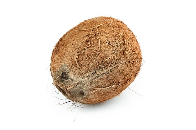 Coco isolado na superfície branca