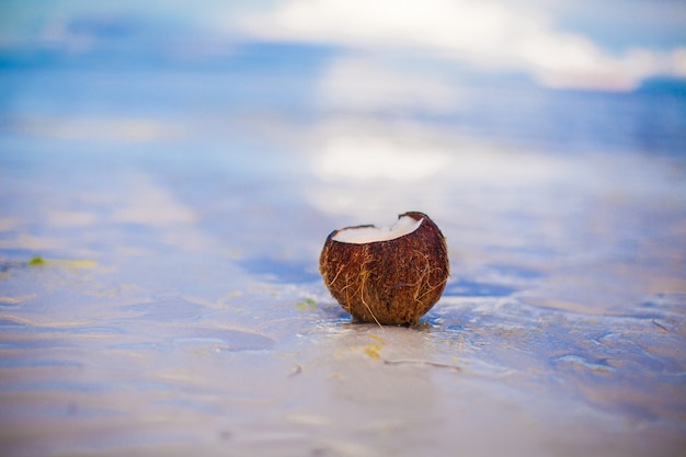 Coco na praia de areia branca tropical em um dia ensolarado