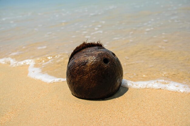 coco na praia