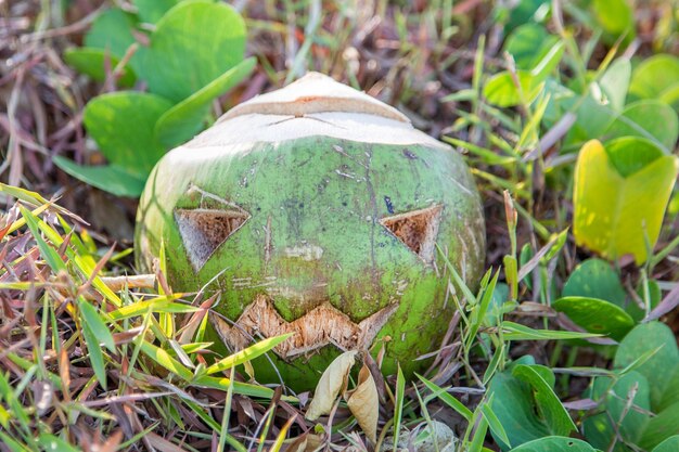 El coco verde fresco es un símbolo de Halloween con una cara tallada en una calabaza tirada en el césped