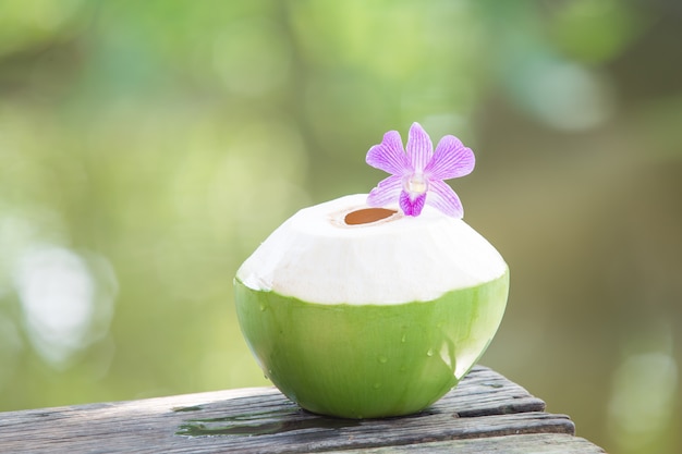 Coco verde fresco con flor