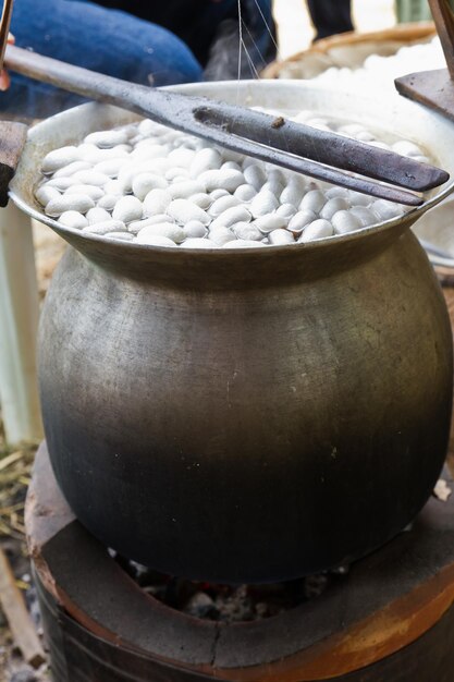 Cocón hirviendo en una olla