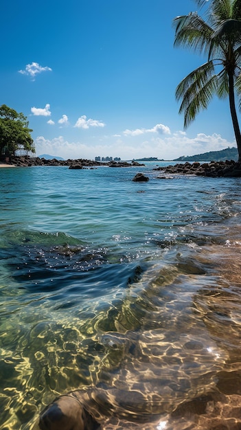 Coconut Grove junto a la playa