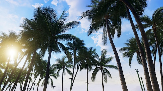 Coconut Tree Plant On Summer Village Background für Werbung in der Natur und Werbeszene.