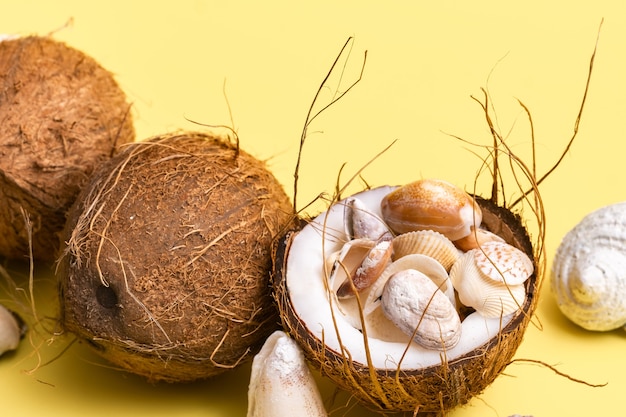 Cocos y conchas sobre un fondo amarillo .Tema marino