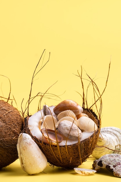 Cocos y conchas sobre un fondo amarillo .Tema marino