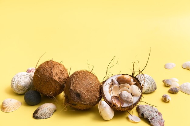 Cocos y conchas sobre un fondo amarillo .Tema marino