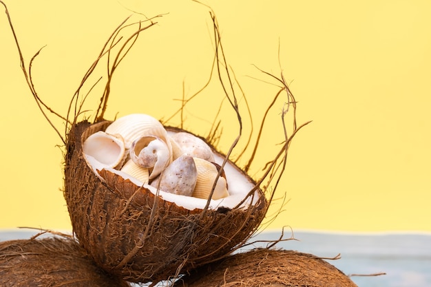 Cocos e conchas em um fundo de madeira amarelo e azul. tema marinho.