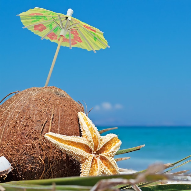 Cocos estrella de mar y ramas de palmeras en guijarros blancos