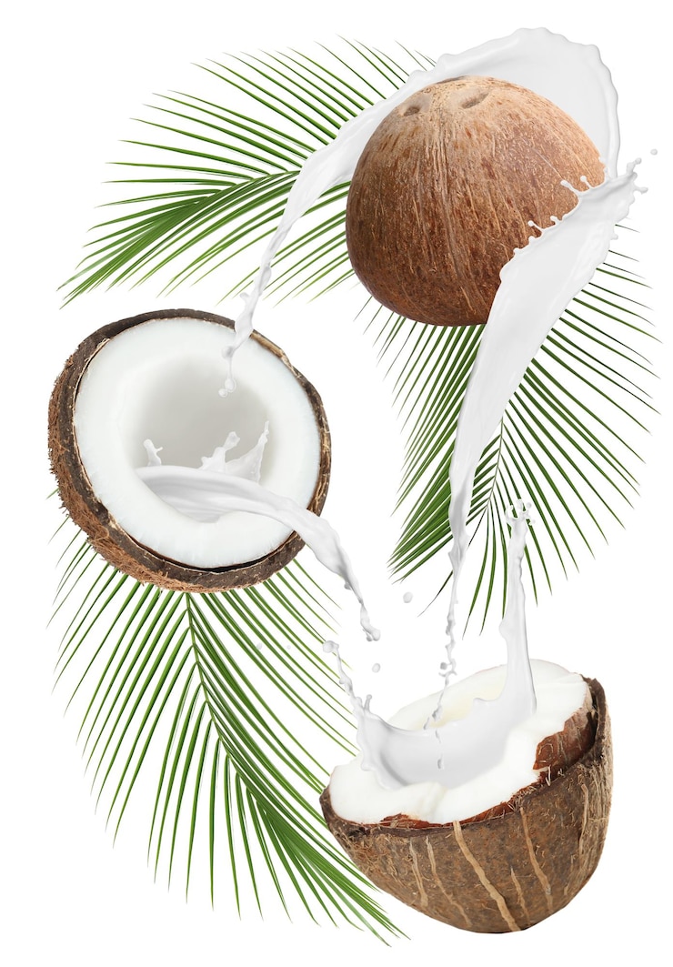 Foto cocos exóticos e salpicos de leite isolados em branco