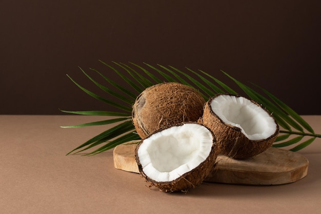 Cocos con hoja de palma sobre fondo marrón