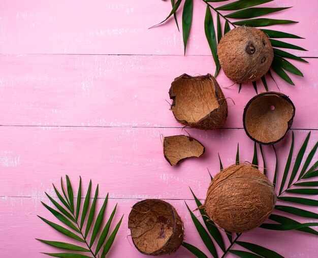 Foto cocos y hojas de palma en rosa