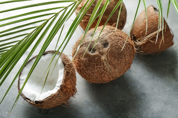 Cocos maduros e folha de palmeira na mesa cinza