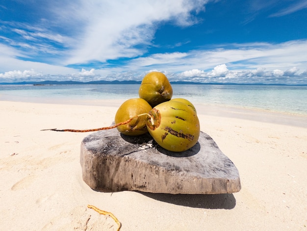 Cocos na praia de areia com água e céu no conceito de férias e viagens de fundo