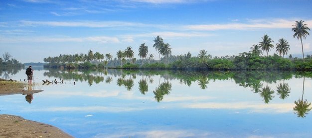 Cocos o palmeras en la playa en un hermoso día azul brillante