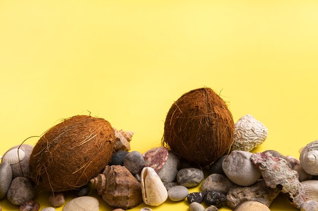 Cocos, pedras e conchas em um fundo amarelo. Tema marinho