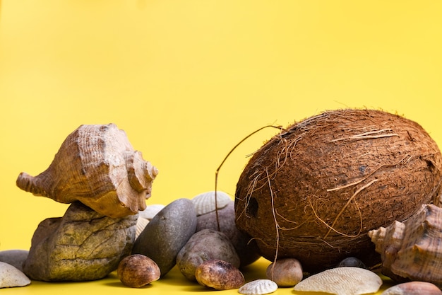 Cocos, pedras e conchas em um fundo amarelo. Tema marinho