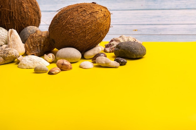 Cocos, pedras e conchas em um fundo azul de madeira e um fundo amarelo. Tema marinho.