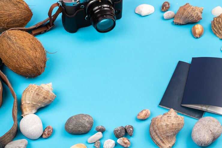 Foto cocos, pedras e conchas no conceito de praia