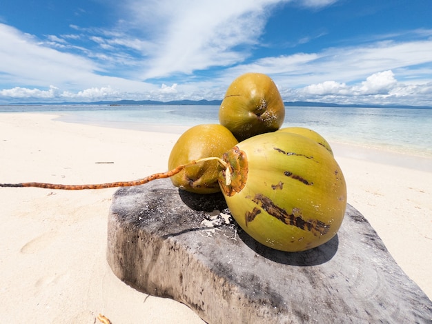 Cocos en la playa de arena con agua y cielo en concepto de viaje y aventura de fondo