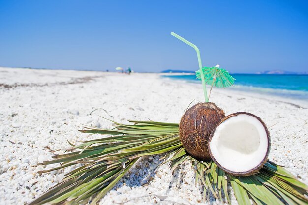 Cocos y ramas de palma sobre guijarros blancos