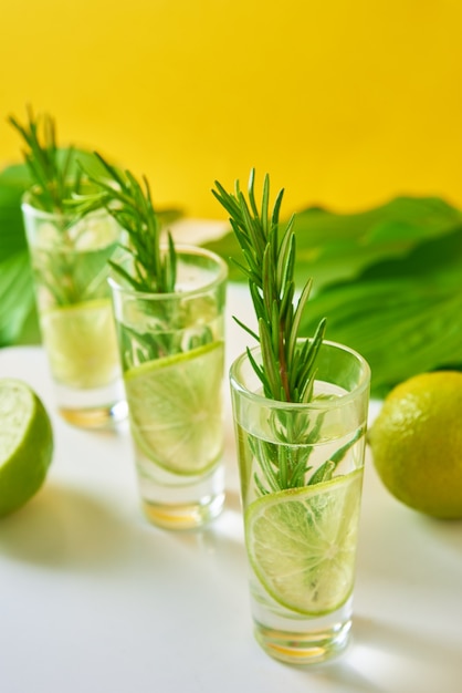 Cóctel alcohólico de verano refresco refresco de limón beber gin tonic con lima y romero