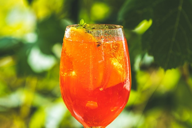 Cóctel de aperol spritz en copa de vino grande con naranjas verano bebida fría de alcohol fresco italiano jardín soleado con fondo de viñedo concepto de estado de ánimo de verano enfoque selectivo