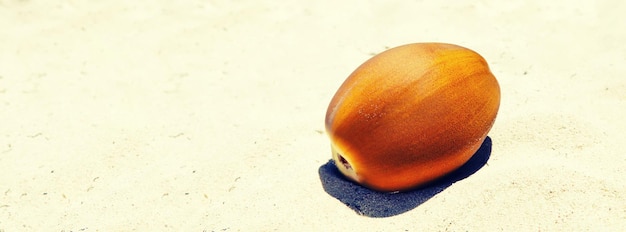 Cóctel de coco de verano en la playa Día soleado en la isla tópica