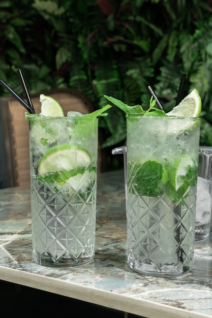 Cóctel Gin Tonic o Mojito en vaso con menta, hielo, lima en el fondo de hojas tropicales.