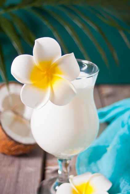 Cóctel tropical exótico del Caribe tradicional bebida piña colada en vasos con flores de frangipani Plumeria, hojas de palma y coco en el fondo. Concepto de picnic de playa tropical.