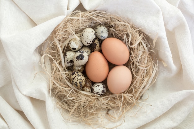 Codornices y huevos de gallina en un nido de paja sobre tela de lino.