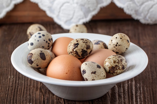 Foto codorniz y huevos de gallina