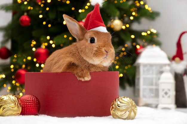 Coelhinha marrom usando chapéu de papai noel sentado na caixa de presentes pela árvore de natalnovo ano de coelho de acordo