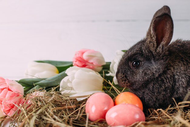 Coelhinho da Páscoa com ovos de Páscoa com tulipas e um ninho de feno. Composição positiva da Páscoa primavera.