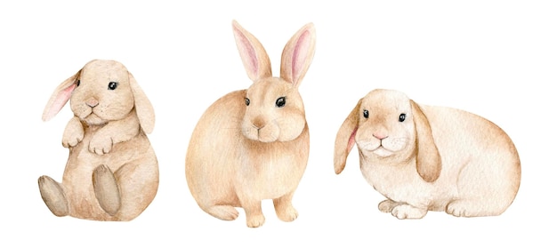 Coelhinhos ilustração em aquarela animais da floresta fofos coelhinhos da páscoa coelhos