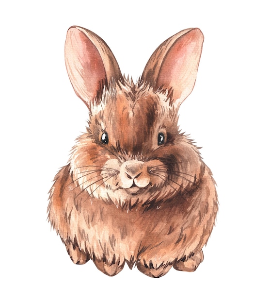 Coelho aquarelado naturalista fofinho e bonito