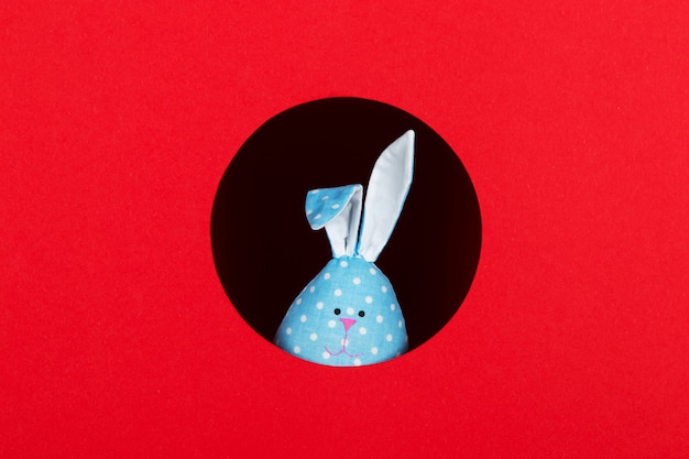 coelho azul orelhudo espreita para fora do buraco no fundo vermelho. Copie o espaço.