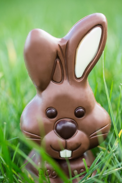 Foto coelho de chocolate aninhado na grama