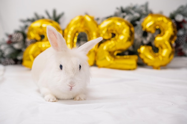 Foto coelho de natal sob a árvore de natal coelho branco fofo feliz ano novo 2023 cartão postal com uma lebre de férias de estimação