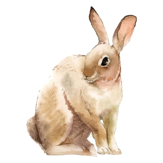 Coelho de Páscoa png clipart aquarela ilustração de animal em fundo transparente